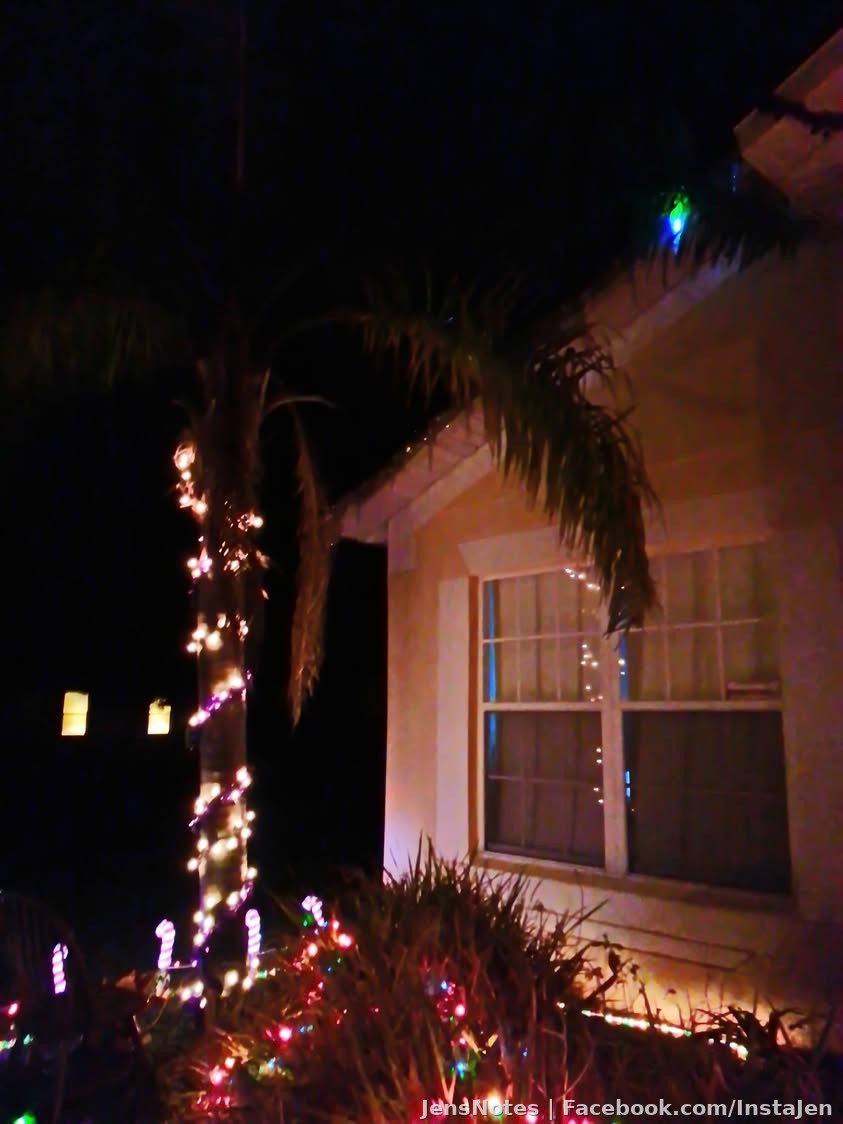 Photos
