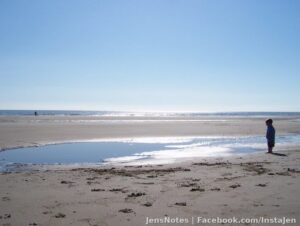 Photos