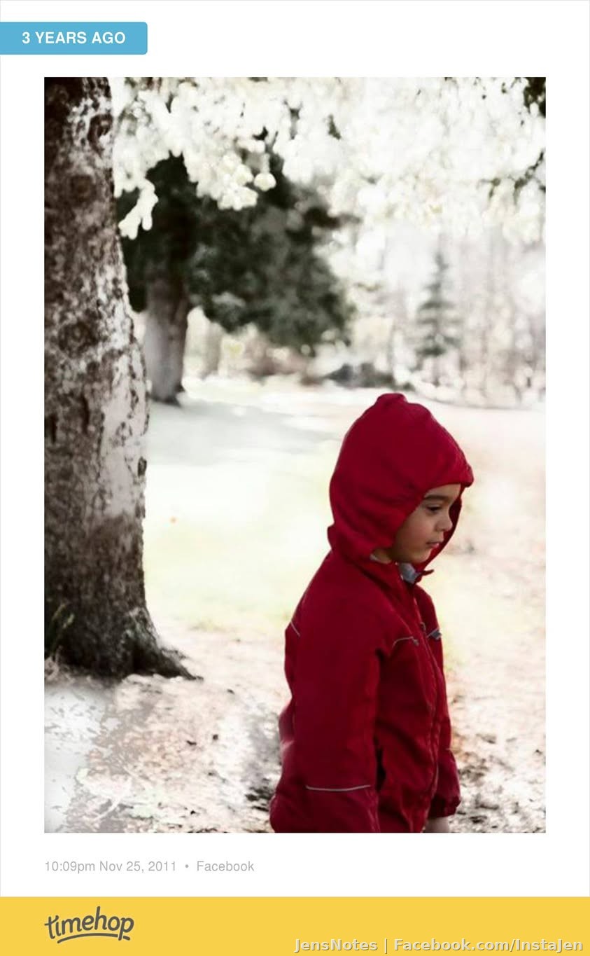 This photo was taken on our land and there was no snow. In fact it was probably in the 50’s that day :) I