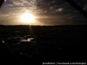 @[100004170763240:2048:Misty Grego] has landed :) hope they did good!