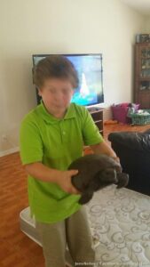 Of course while I'm away...dad lets kids find some giant turtle and why it's in my house I don't know lol. He says the