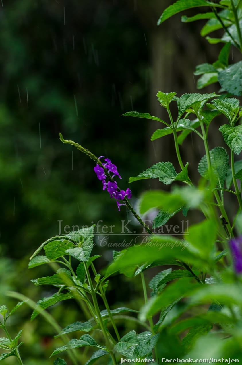 Lightly raining :)