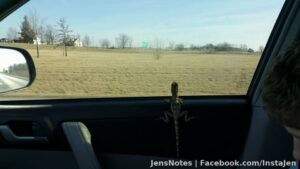 Echo enjoys ohio scenery anyway, lol