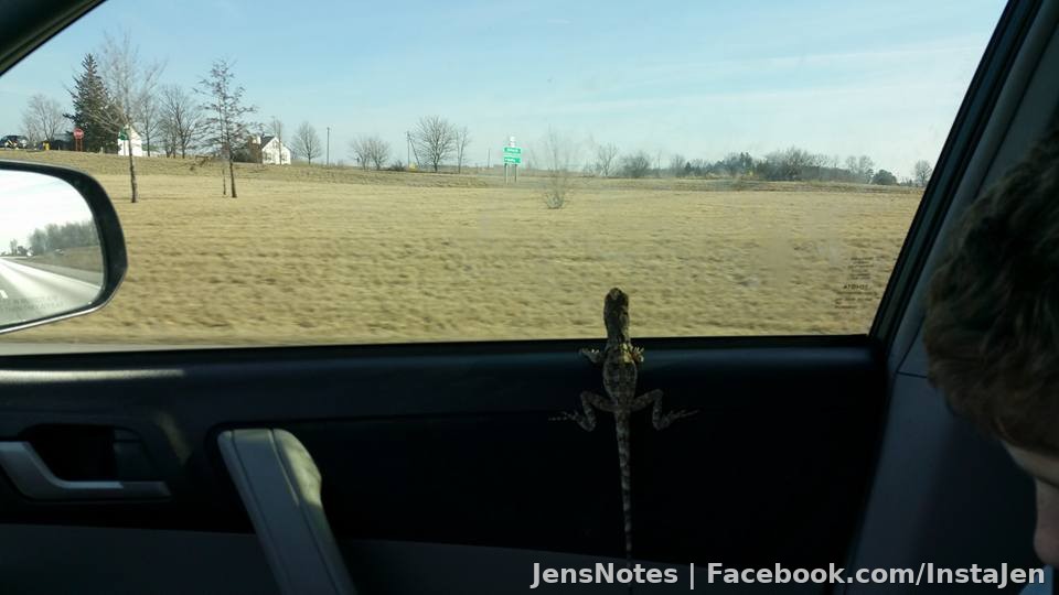 Echo enjoys ohio scenery anyway, lol