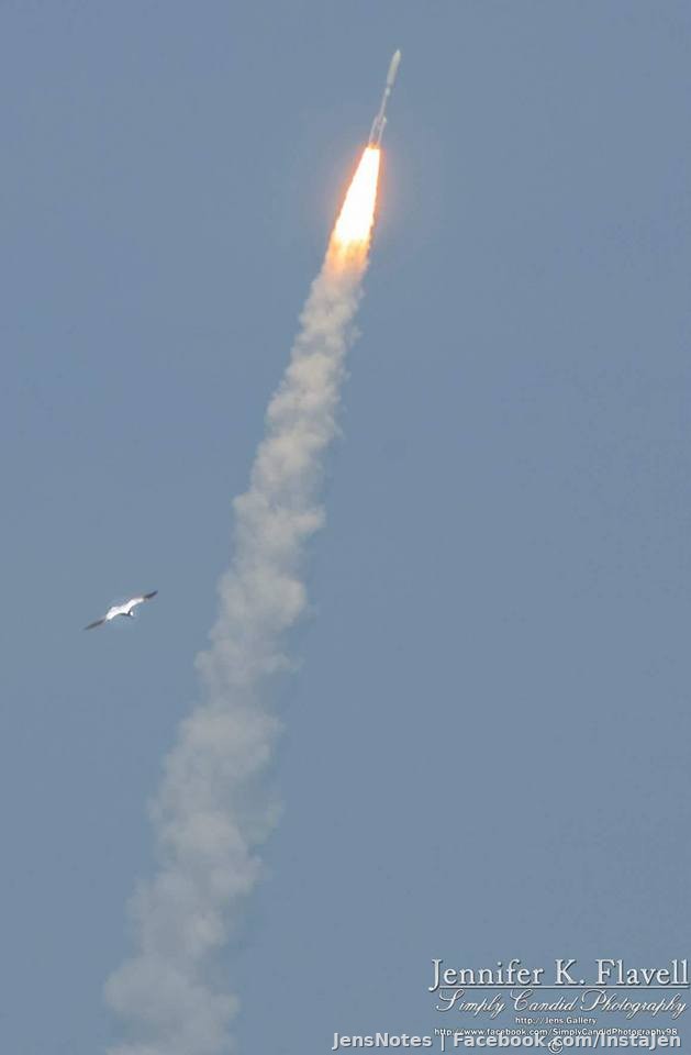 Just missed the SpaceX launch. Kids get out of school a tad too late for 4:43p launches. I'm fairly certain at predicting meteorologically speaking