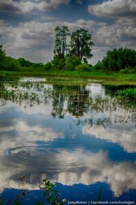This started as a photograph I took, one exposure. When I merged exposures, it went from a photograph to more like art (HDR). Still