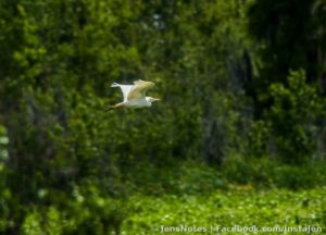 In flight :)