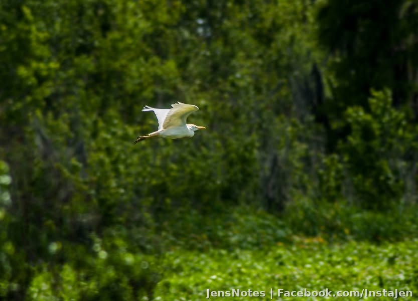 In flight :)
