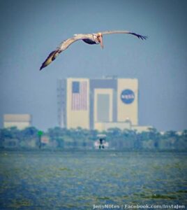 I always loved this photo of the NASA VAB and wildlife. Two topics of flight.