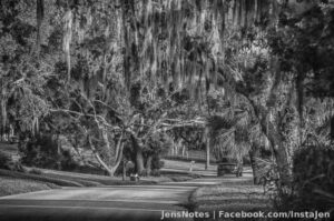 A quiet road somewhere in Lake County, FL. I love spanish moss hanging from the trees.