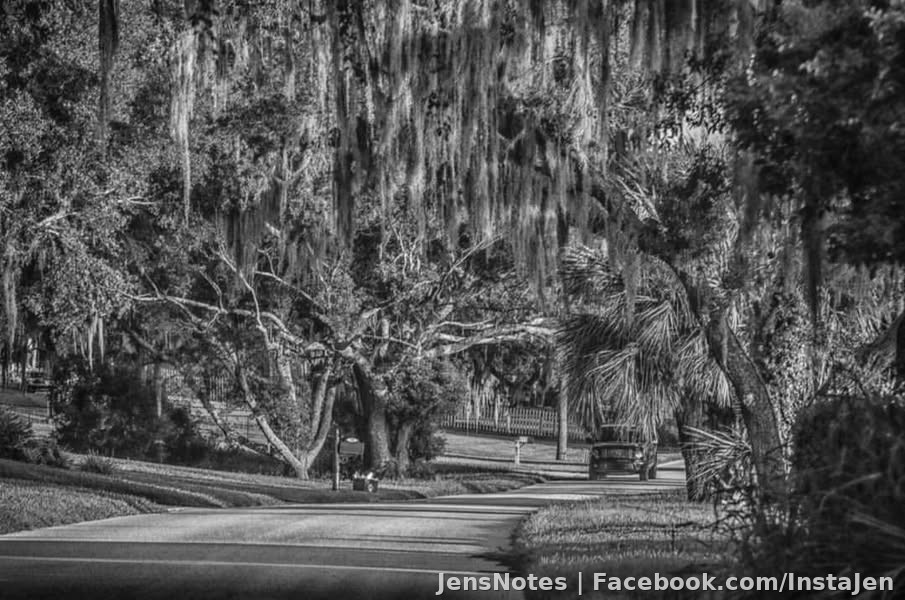 A quiet road somewhere in Lake County, FL. I love spanish moss hanging from the trees.