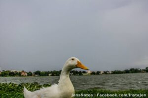 Photos