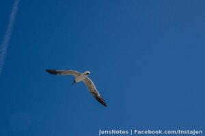 Photos