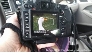 Mobile uploads