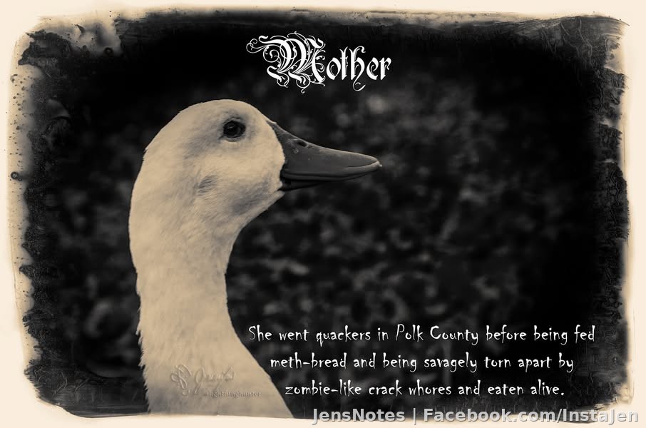 I just don't like where I live that much I've now devoted time to meme making :)