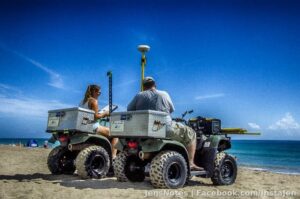 Sea Turtle nest research