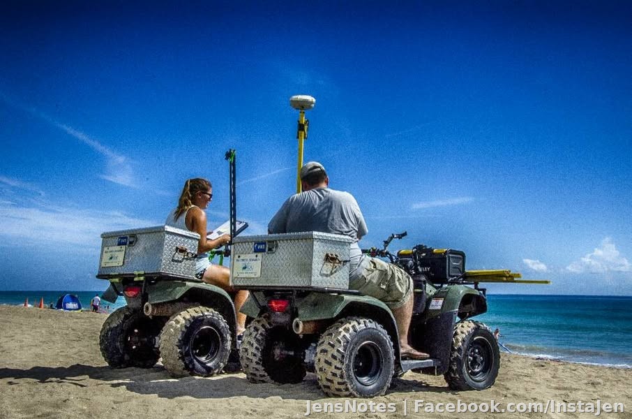 Sea Turtle nest research
