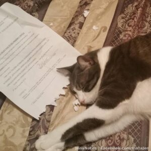 When even your cat objects to a legal motion lol. Wow. #fatcats #lawyer #lawyers #polkcounty #lakecounty #catsrule #wow #truth
