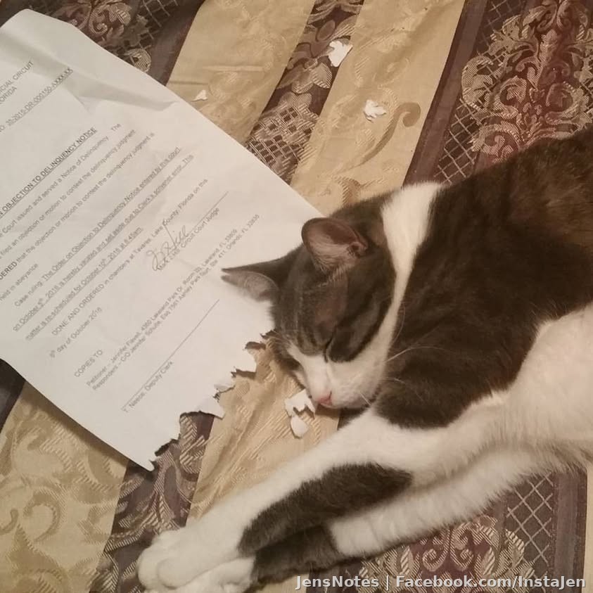 When even your cat objects to a legal motion lol. Wow. #fatcats #lawyer #lawyers #polkcounty #lakecounty #catsrule #wow #truth