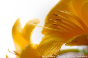 Cover photos