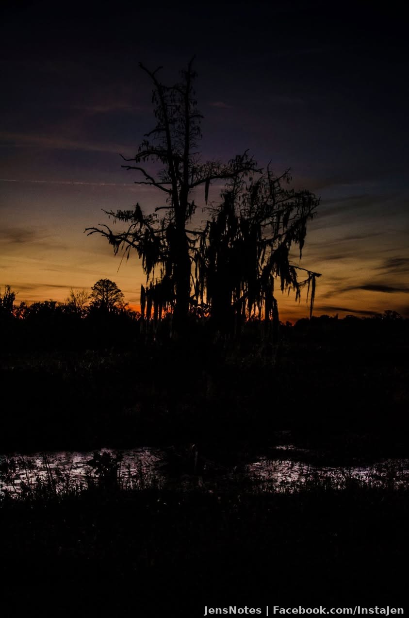 Sunset at the Circle B in Lakeland - just a lil scary at night lol.