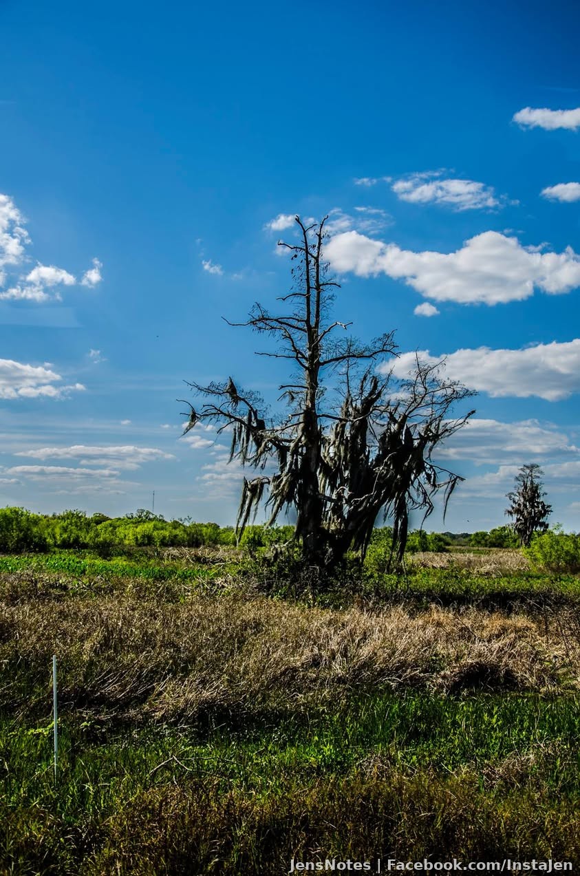 Photos