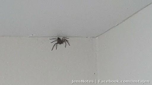 When you've crossed the line from bug to beast.... ommmgg