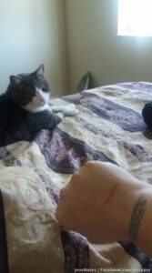 Evil & a touch of sweet. Aro enjoys randomly invoking his "reach out and touch someone" attention seeking method. Usually its my face he