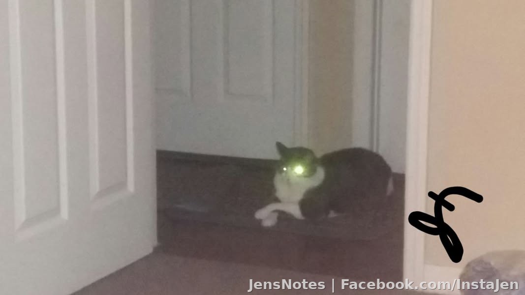 The cats tonight I think are planning to smother me to death. Aro always looks cute when he crosses his paws... but this pic