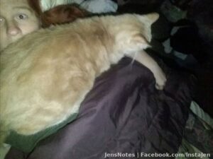 Nothing like a fat cat laying on your congested chest. Lol