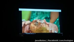 I'm watching the Wendy show. Ai promised my wonderful son @[100006243099627:2048:Andrew Flavell] to build an enclosure for a pet Tegu feat on there today