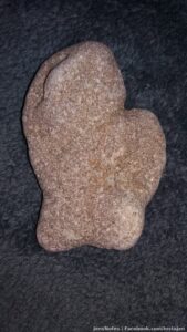 Went and walked along the Atlantic side here in FL and one of the first pieces if coral I picked up I swear is