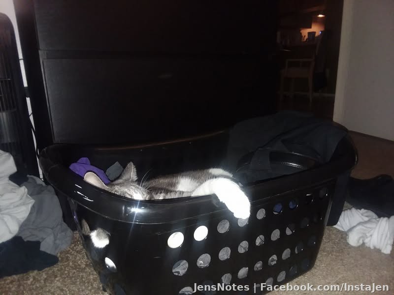 SqueakyG has made himself at home lol