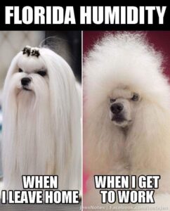 I suffer severely from this problem ha ha.
