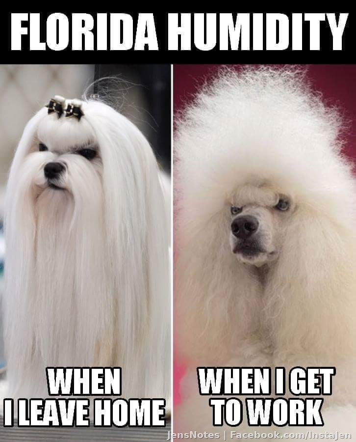I suffer severely from this problem ha ha.