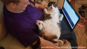 @[20904508:2048:Jason Mellen] got bathed in catnip, and that tongue is something else. The width of the junk in sqeaky's trunk alone could take out