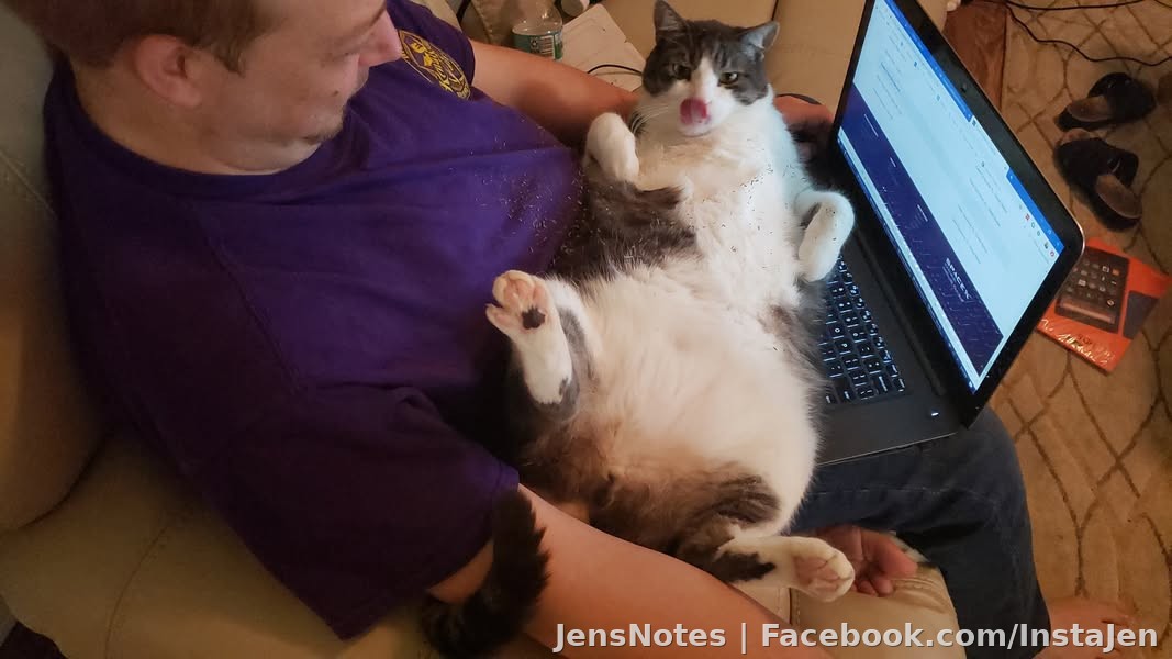 @[20904508:2048:Jason Mellen] got bathed in catnip, and that tongue is something else. The width of the junk in sqeaky's trunk alone could take out