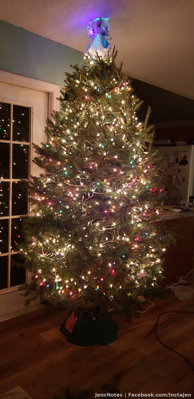 The tree with lights for now... tomorrow the ornaments :)