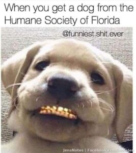 Haha still cute!