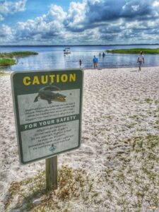 Real photo... omg. You cannot go near any bodies of water in FL. Common sense peoples :)