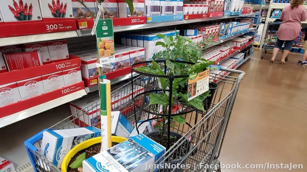 Never shopped for Christmas and gardening at the same time. What a screw with the mind state ha ha.