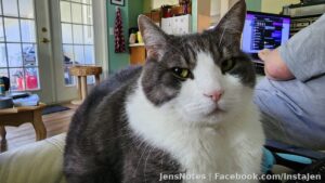 Squeaker I guess with reluctance says hello! Lol