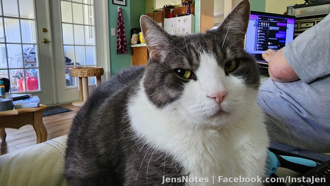 Squeaker I guess with reluctance says hello! Lol