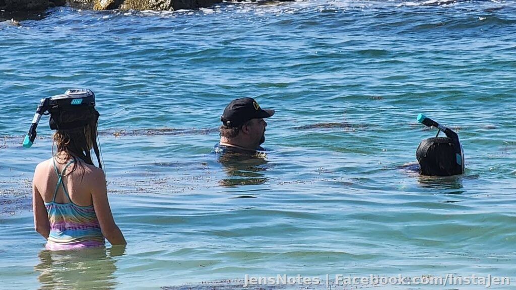 Photos