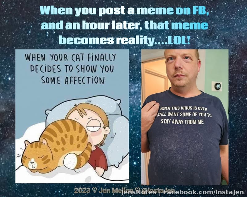 I posted the original meme like an hour ago and then @[20904508:2048:Jason Mellen] was laying in the bed next to me with Carrot Cake