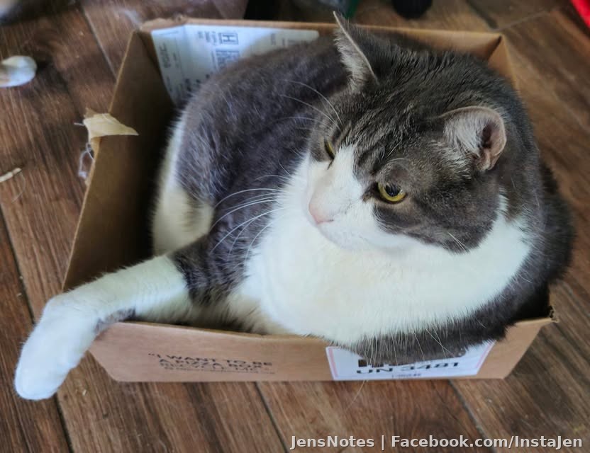 This box is like 15"x15" and my turkey is like 26lbs so he managed a very tight squeeze lol