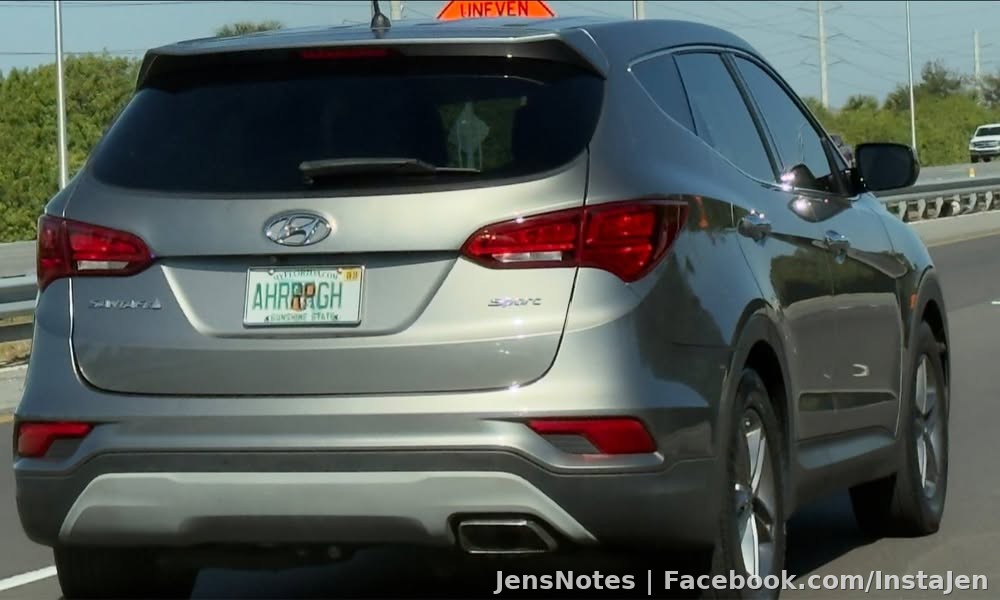 Saw this license plate today and it speaks volumes. I think most people feel the same way on Florida roads lol