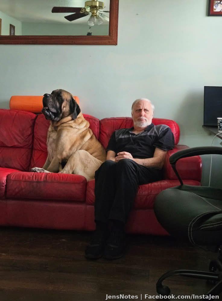 My father-in-law next to a bull mastiff. Lol ha ha. I'm going to do a large print of this!
