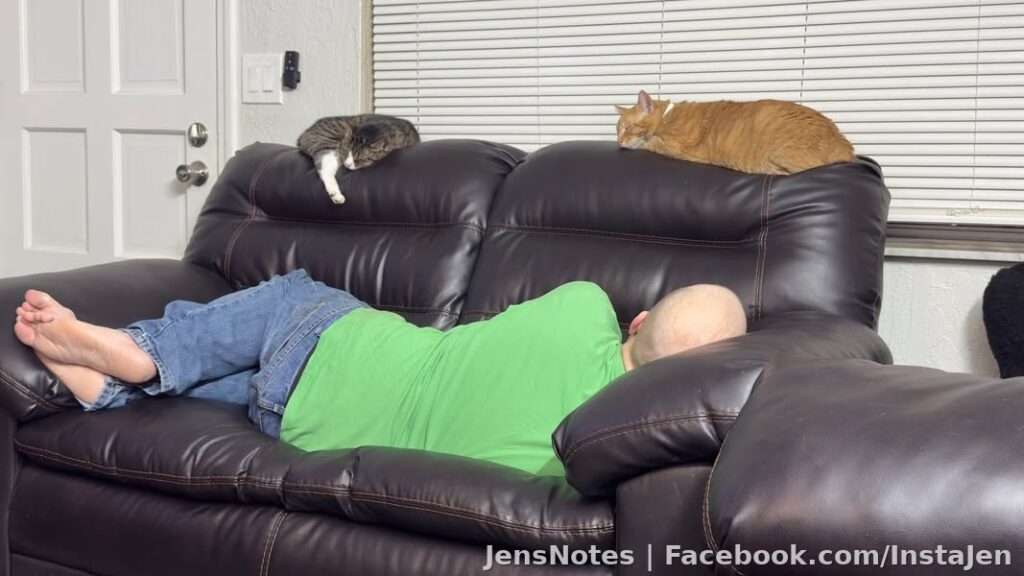 One of the vendors near my shop had a couple real good leather couches to part with so I said heck yeah... And I