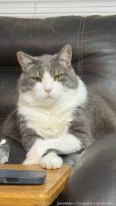 Squeaky G. acting and role playing the cat mob boss. lol ?